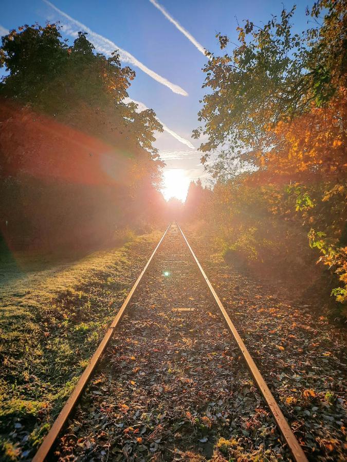 Fewo Im Alten Bahnhof Niederrossbach Екстер'єр фото
